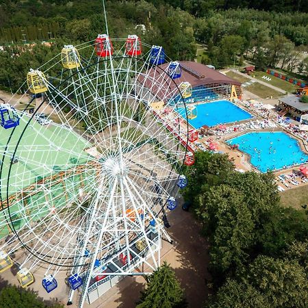 Luxury Bucovina Lejlighed Gura Humorului Eksteriør billede